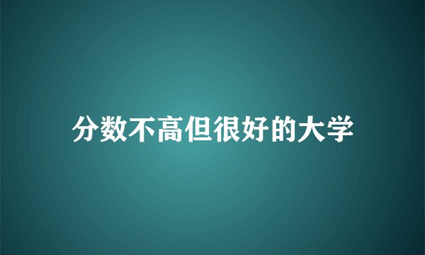 分数不高但很好的大学