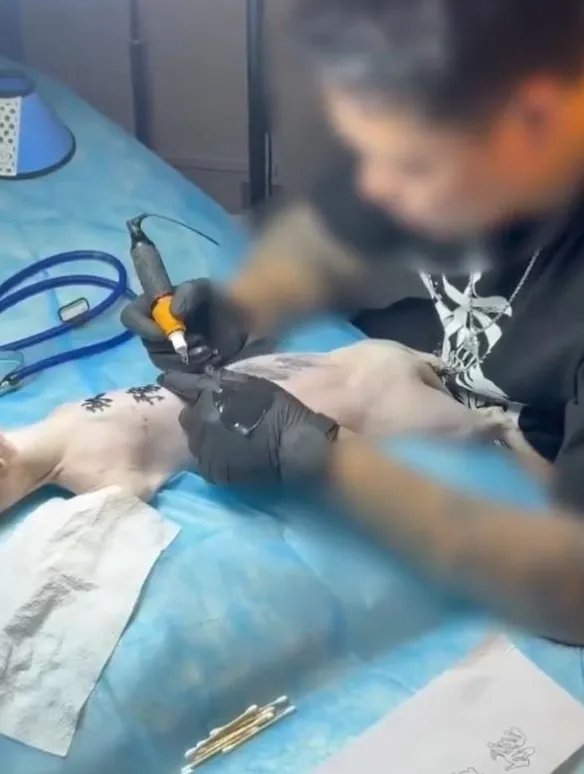 男子给猫纹身遭到网暴 网友：故意博眼球还涉嫌虐猫