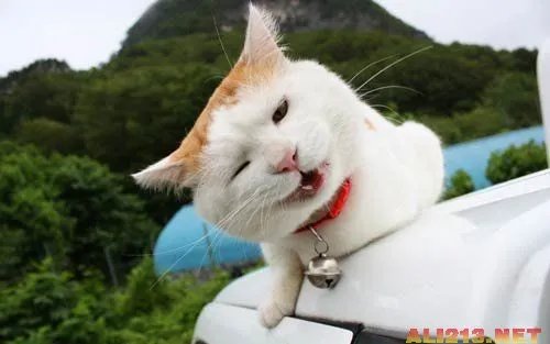 屌丝春运必备7神器 亮瞎双眼的智慧都是被逼的