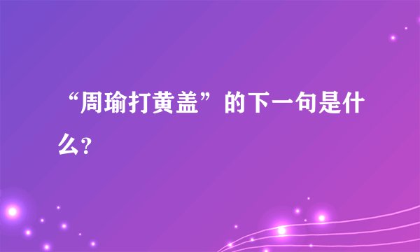 “周瑜打黄盖”的下一句是什么？