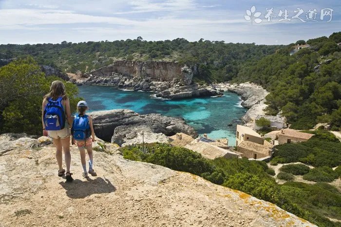 幼犬什么时候打疫苗