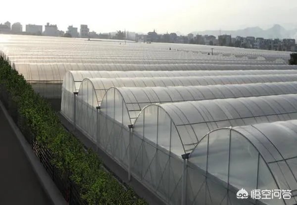 温室大棚的工作原理是什么？
