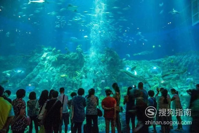 香港海洋公园攻略