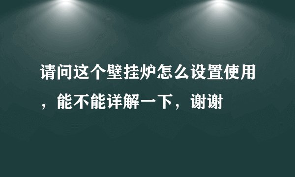请问这个壁挂炉怎么设置使用，能不能详解一下，谢谢