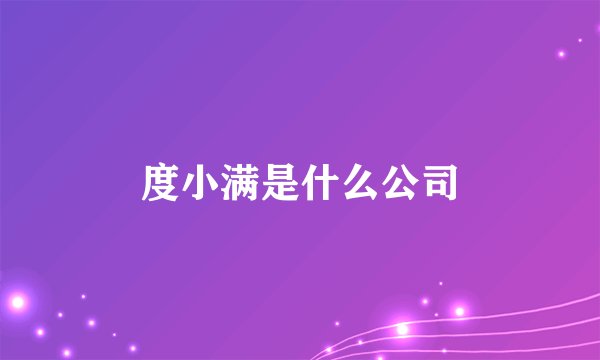 度小满是什么公司