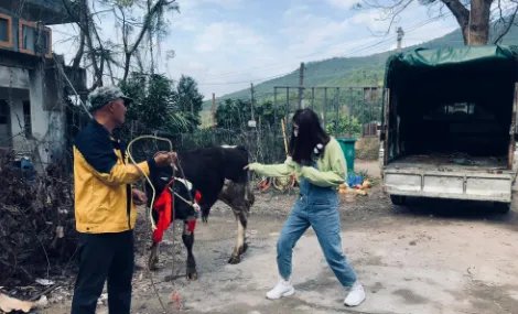 梅州女生中奖一头奶牛冲上热搜，岁末年终你这一年都有哪些消费？