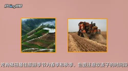 桂林阳朔十大必玩旅游景点攻略