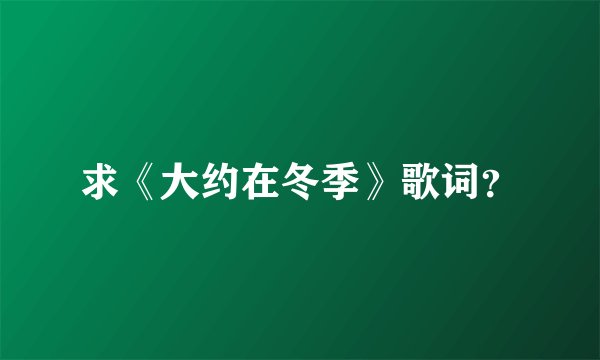求《大约在冬季》歌词？