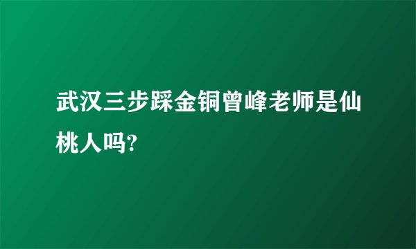 武汉三步踩金铜曾峰老师是仙桃人吗?