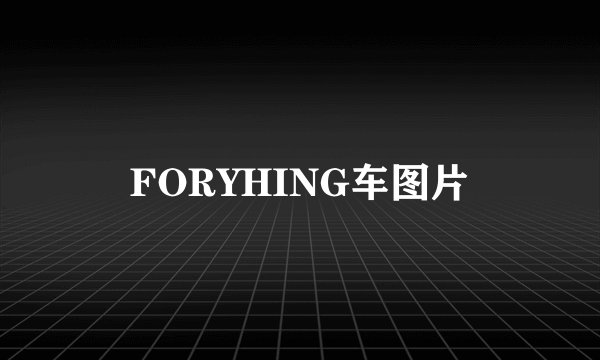 FORYHING车图片