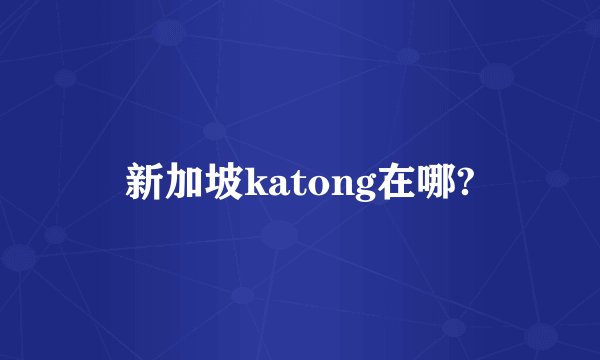 新加坡katong在哪?