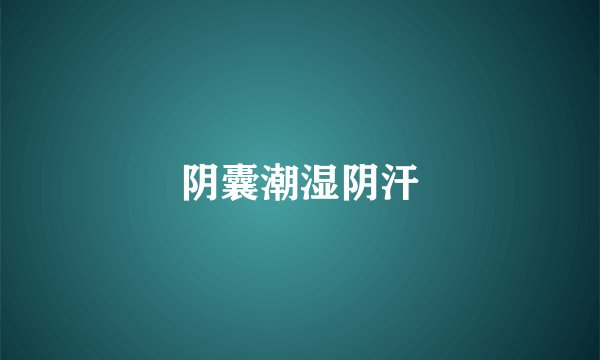 阴囊潮湿阴汗