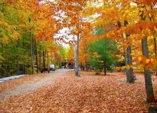 临安农家乐去哪里好