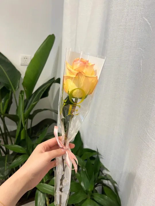 00后男生的表白方式