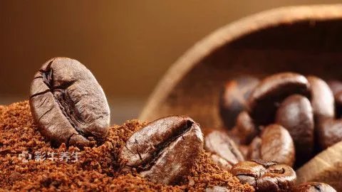 雀巢咖啡的作用与功效