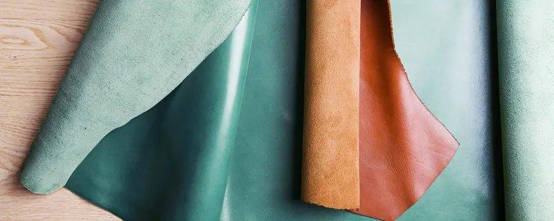 麂皮怎么清洗 麂皮如何清洗干净