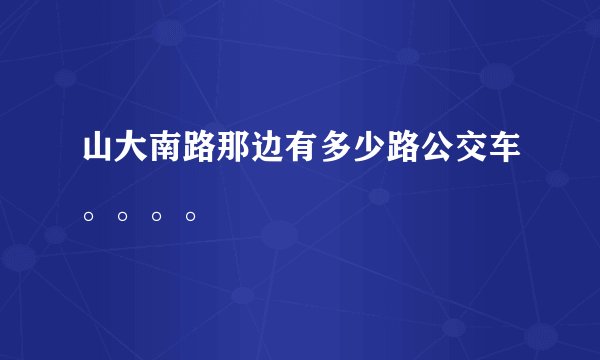 山大南路那边有多少路公交车。。。。