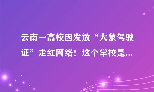 云南一高校因发放“大象驾驶证”走红网络！这个学校是怎样的存在