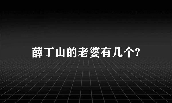 薛丁山的老婆有几个?