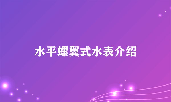 水平螺翼式水表介绍