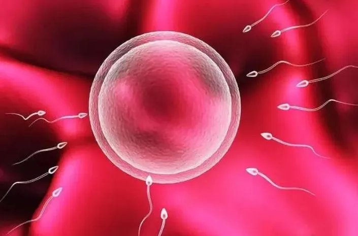 试管一代二代三代哪个成功率高-上海九院试管收费明细，上海九院可以做三代试管吗？