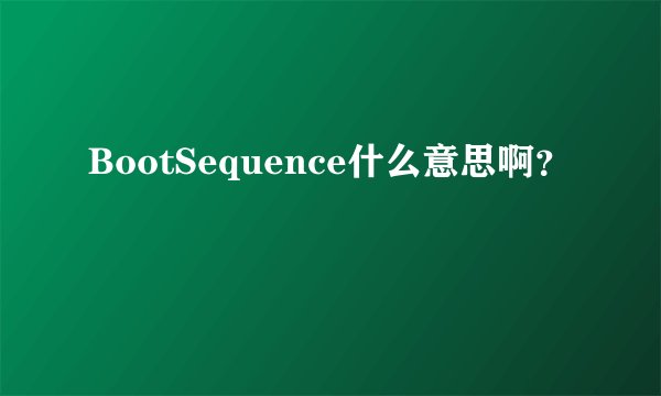 BootSequence什么意思啊？