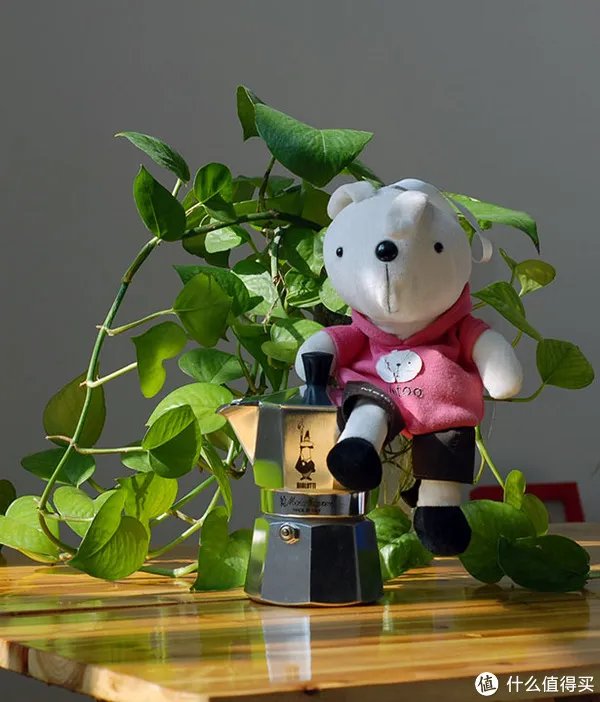 一个伪小资的咖啡生活