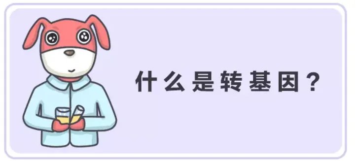 ”美国人不吃转基因食物”谁说的？他们吃得欢着呢！