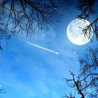 日落香残，免去凡心一点。求下联？