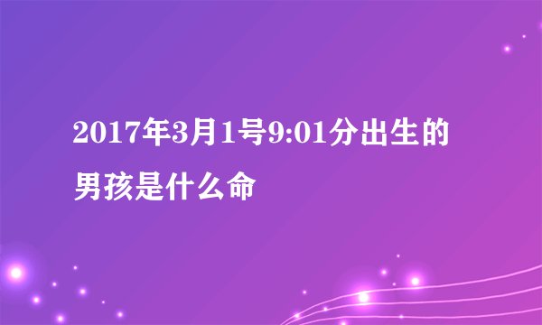 2017年3月1号9:01分出生的男孩是什么命