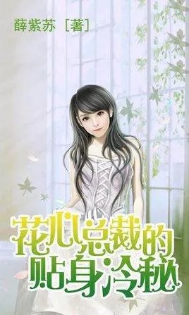 总裁的贴身冷秘的章节目录