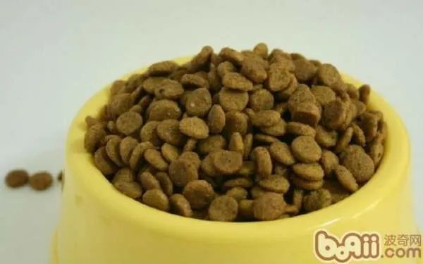 狗粮应该怎么选？