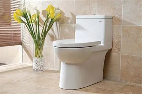 抽水马桶被硬物堵了怎么办