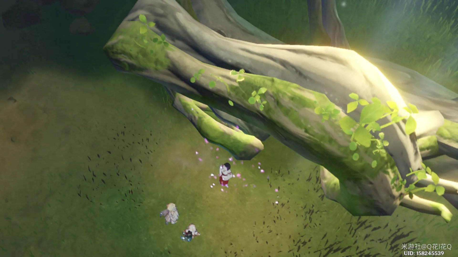 原神稻妻神樱大祓影向祓行攻略