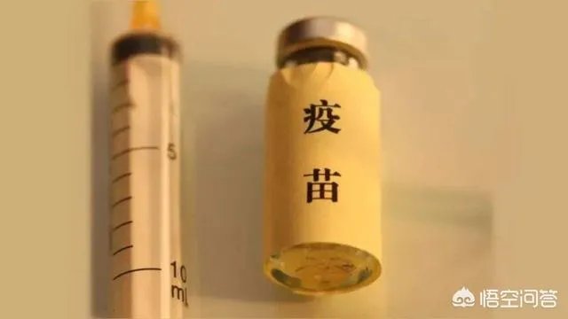 如何看待长春长生被立案调查，董事长和4名高管被带走？