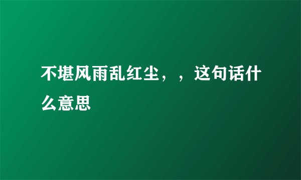 不堪风雨乱红尘，，这句话什么意思
