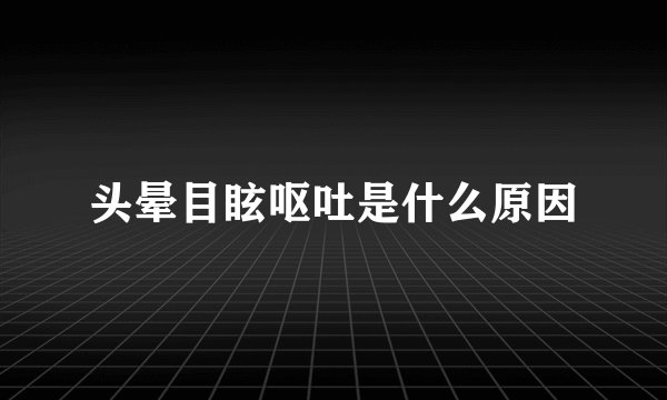 头晕目眩呕吐是什么原因