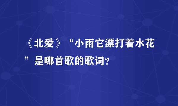 《北爱》“小雨它漂打着水花”是哪首歌的歌词？