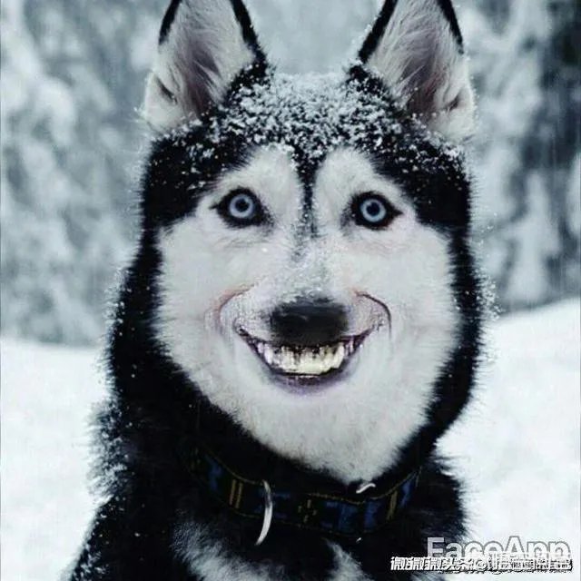 童装店和女装店,未来哪个市场会大一点?为什么?