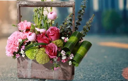 友情送花送什么花 送好朋友花多少朵合适