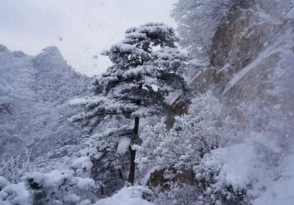 北风那个吹,雪花那个飘是什么歌？