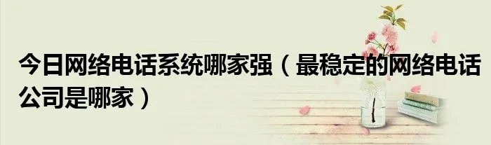 今日网络电话系统哪家强（最稳定的网络电话公司是哪家）
