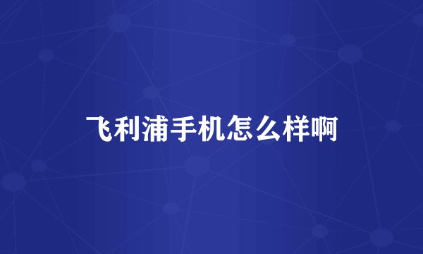 飞利浦手机怎么样啊