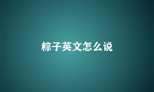 粽子英文怎么说