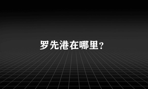 罗先港在哪里？