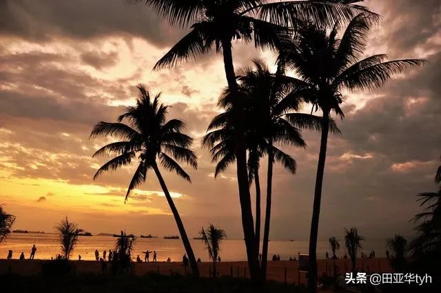 三亚湾和亚龙湾，哪个更好一些？