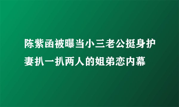 陈紫函被曝当小三老公挺身护妻扒一扒两人的姐弟恋内幕