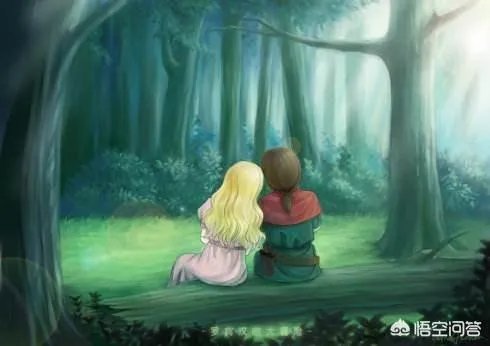 如何评价动漫《罗宾汉大冒险》？