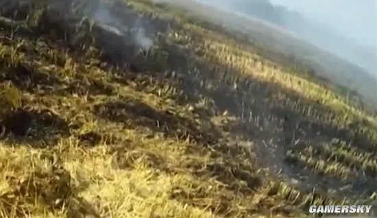 男子带儿子体验烤红薯引发火灾 为了儿子写好作文