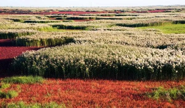 去沈阳自驾游，有哪些景点不容错过？